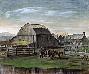 wilcken farm