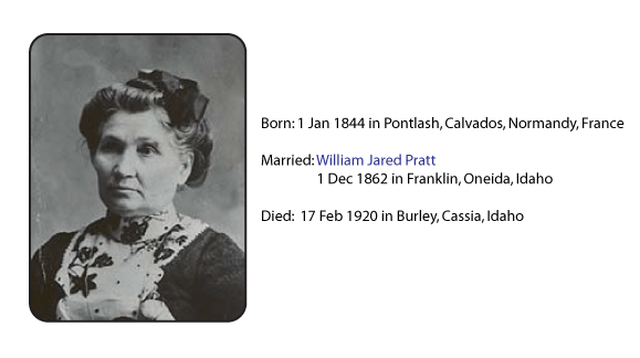 alice fleet smart